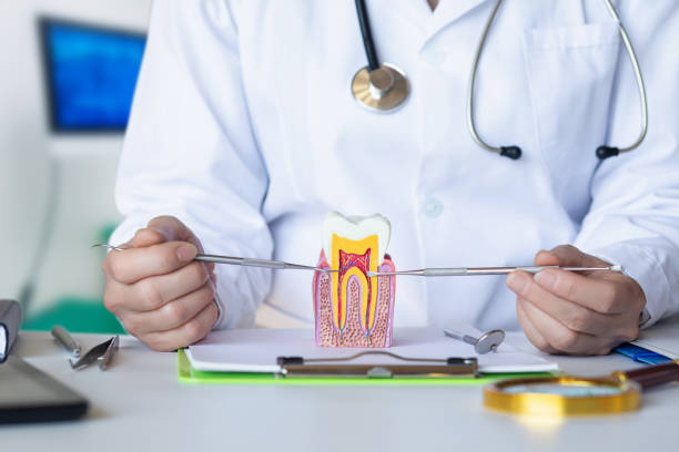 Best Emergency Denture Repair in Midway City, CA